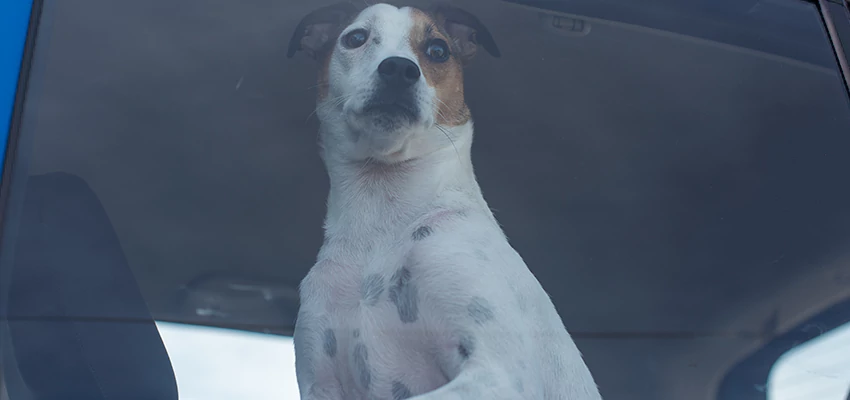 Car Lockout Solutions in West Covina, California